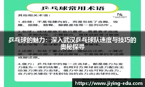 乒乓球的魅力：深入武汉乒乓球队速度与技巧的奥秘探寻
